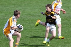 2014-U12-Football-Blitz-in-Pairc-Ui-Chaoimh-2