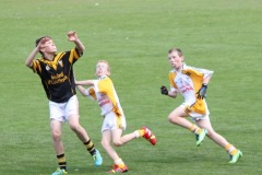 2014-U12-Football-Blitz-in-Pairc-Ui-Chaoimh-3