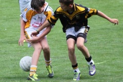 2014-U12-Football-Blitz-in-Pairc-Ui-Chaoimh-5