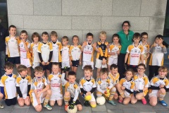 2017-Bandon-U8-Football-Blitz-Pairc-Ui-Chaoimh