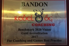 2017-Coaching-Benchmark-Gold-Award-2