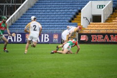 INTERMEDIATE-HURLING-COUNTY-CHAMPIONS-2011-I-Bandon-2-14-Fr-ONeills-0-07-13