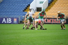 INTERMEDIATE-HURLING-COUNTY-CHAMPIONS-2011-I-Bandon-2-14-Fr-ONeills-0-07-14