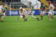 INTERMEDIATE-HURLING-COUNTY-CHAMPIONS-2011-I-Bandon-2-14-Fr-ONeills-0-07-16