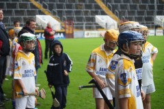 INTERMEDIATE-HURLING-COUNTY-CHAMPIONS-2011-I-Bandon-2-14-Fr-ONeills-0-07-20
