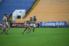 INTERMEDIATE-HURLING-COUNTY-CHAMPIONS-2011-I-Bandon-2-14-Fr-ONeills-0-07-22