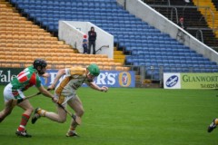 INTERMEDIATE-HURLING-COUNTY-CHAMPIONS-2011-I-Bandon-2-14-Fr-ONeills-0-07-26