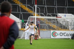 INTERMEDIATE-HURLING-COUNTY-CHAMPIONS-2011-I-Bandon-2-14-Fr-ONeills-0-07-27