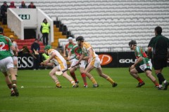 INTERMEDIATE-HURLING-COUNTY-CHAMPIONS-2011-I-Bandon-2-14-Fr-ONeills-0-07-30