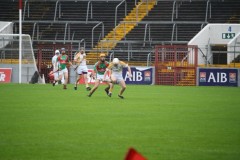 INTERMEDIATE-HURLING-COUNTY-CHAMPIONS-2011-I-Bandon-2-14-Fr-ONeills-0-07-35