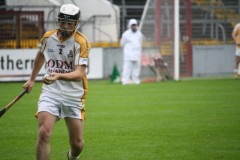 INTERMEDIATE-HURLING-COUNTY-CHAMPIONS-2011-I-Bandon-2-14-Fr-ONeills-0-07-40