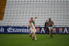 INTERMEDIATE-HURLING-COUNTY-CHAMPIONS-2011-I-Bandon-2-14-Fr-ONeills-0-07-44