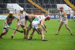 INTERMEDIATE-HURLING-COUNTY-CHAMPIONS-2011-I-Bandon-2-14-Fr-ONeills-0-07-48