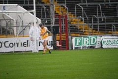INTERMEDIATE-HURLING-COUNTY-CHAMPIONS-2011-I-Bandon-2-14-Fr-ONeills-0-07-50