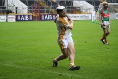 INTERMEDIATE-HURLING-COUNTY-CHAMPIONS-2011-I-Bandon-2-14-Fr-ONeills-0-07-53