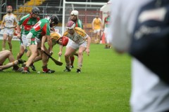 INTERMEDIATE-HURLING-COUNTY-CHAMPIONS-2011-II-Bandon-2-14-Fr-ONeills-0-07-1