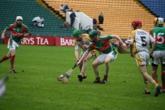 INTERMEDIATE-HURLING-COUNTY-CHAMPIONS-2011-II-Bandon-2-14-Fr-ONeills-0-07-10