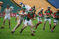 INTERMEDIATE-HURLING-COUNTY-CHAMPIONS-2011-II-Bandon-2-14-Fr-ONeills-0-07-11