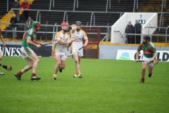 INTERMEDIATE-HURLING-COUNTY-CHAMPIONS-2011-II-Bandon-2-14-Fr-ONeills-0-07-15