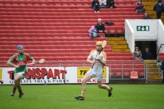 INTERMEDIATE-HURLING-COUNTY-CHAMPIONS-2011-II-Bandon-2-14-Fr-ONeills-0-07-17