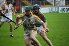 INTERMEDIATE-HURLING-COUNTY-CHAMPIONS-2011-II-Bandon-2-14-Fr-ONeills-0-07-19