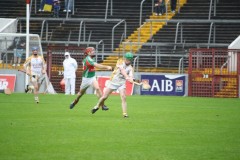 INTERMEDIATE-HURLING-COUNTY-CHAMPIONS-2011-II-Bandon-2-14-Fr-ONeills-0-07-22