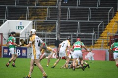 INTERMEDIATE-HURLING-COUNTY-CHAMPIONS-2011-II-Bandon-2-14-Fr-ONeills-0-07-23