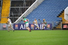 INTERMEDIATE-HURLING-COUNTY-CHAMPIONS-2011-II-Bandon-2-14-Fr-ONeills-0-07-25