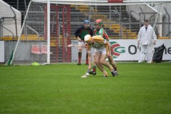 INTERMEDIATE-HURLING-COUNTY-CHAMPIONS-2011-II-Bandon-2-14-Fr-ONeills-0-07-26