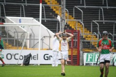 INTERMEDIATE-HURLING-COUNTY-CHAMPIONS-2011-II-Bandon-2-14-Fr-ONeills-0-07-27