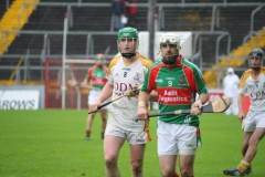 INTERMEDIATE-HURLING-COUNTY-CHAMPIONS-2011-II-Bandon-2-14-Fr-ONeills-0-07-29