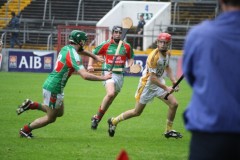 INTERMEDIATE-HURLING-COUNTY-CHAMPIONS-2011-II-Bandon-2-14-Fr-ONeills-0-07-34