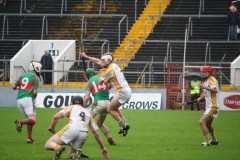 INTERMEDIATE-HURLING-COUNTY-CHAMPIONS-2011-II-Bandon-2-14-Fr-ONeills-0-07-35