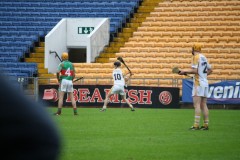 INTERMEDIATE-HURLING-COUNTY-CHAMPIONS-2011-II-Bandon-2-14-Fr-ONeills-0-07-37