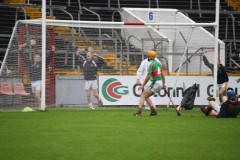 INTERMEDIATE-HURLING-COUNTY-CHAMPIONS-2011-II-Bandon-2-14-Fr-ONeills-0-07-38