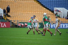 INTERMEDIATE-HURLING-COUNTY-CHAMPIONS-2011-II-Bandon-2-14-Fr-ONeills-0-07-5