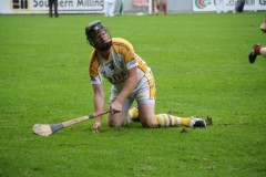 INTERMEDIATE-HURLING-COUNTY-CHAMPIONS-2011-II-Bandon-2-14-Fr-ONeills-0-07-8