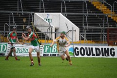 INTERMEDIATE-HURLING-COUNTY-CHAMPIONS-2011-II-Bandon-2-14-Fr-ONeills-0-07-9