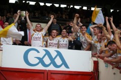 INTERMEDIATE-HURLING-COUNTY-CHAMPIONS-2011-III-Bandon-2-14-Fr-ONeills-0-07-10