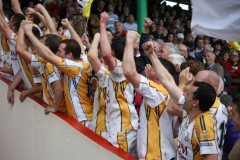 INTERMEDIATE-HURLING-COUNTY-CHAMPIONS-2011-III-Bandon-2-14-Fr-ONeills-0-07-12