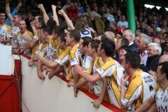 INTERMEDIATE-HURLING-COUNTY-CHAMPIONS-2011-III-Bandon-2-14-Fr-ONeills-0-07-13