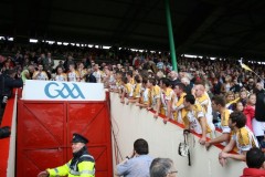 INTERMEDIATE-HURLING-COUNTY-CHAMPIONS-2011-III-Bandon-2-14-Fr-ONeills-0-07-18