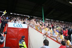 INTERMEDIATE-HURLING-COUNTY-CHAMPIONS-2011-III-Bandon-2-14-Fr-ONeills-0-07-21