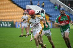 INTERMEDIATE-HURLING-COUNTY-CHAMPIONS-2011-III-Bandon-2-14-Fr-ONeills-0-07-29