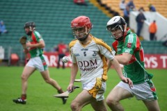 INTERMEDIATE-HURLING-COUNTY-CHAMPIONS-2011-III-Bandon-2-14-Fr-ONeills-0-07-30