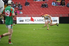 INTERMEDIATE-HURLING-COUNTY-CHAMPIONS-2011-III-Bandon-2-14-Fr-ONeills-0-07-31