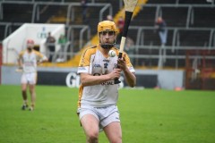 INTERMEDIATE-HURLING-COUNTY-CHAMPIONS-2011-III-Bandon-2-14-Fr-ONeills-0-07-33