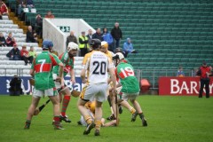 INTERMEDIATE-HURLING-COUNTY-CHAMPIONS-2011-III-Bandon-2-14-Fr-ONeills-0-07-42