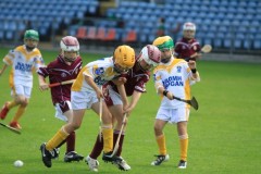 Pairc-U-Chaoimh-U10-blitz-2010-1