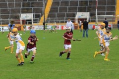 Pairc-U-Chaoimh-U10-blitz-2010-2